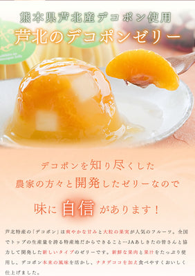 【熊本菓房】芦北のデコポンゼリー　１個入り　