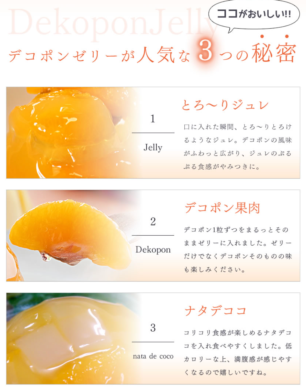 【熊本菓房】芦北のデコポンゼリー　１個入り　